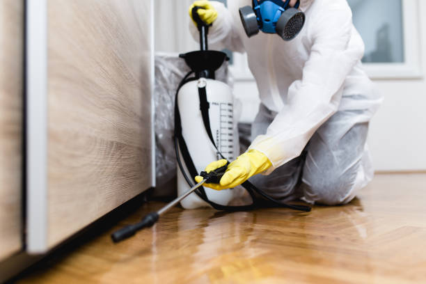 Best Affordable Pest Control Services  in Monona, IA