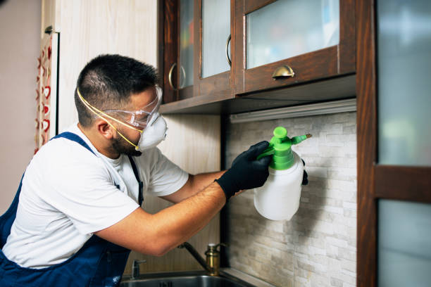 Flea Control Services in Monona, IA