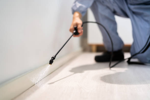 Best Pest Prevention Services  in Monona, IA