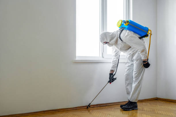 Best Exterminator Services  in Monona, IA