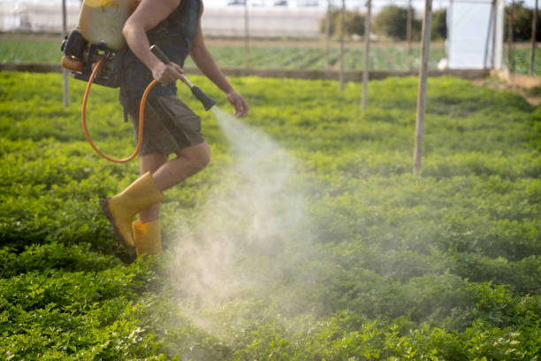 Best Pest Inspection Near Me  in Monona, IA