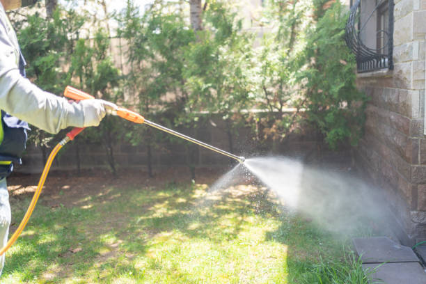 Best Pest Removal Services  in Monona, IA
