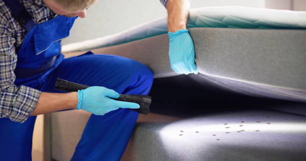 Best Affordable Pest Control Services  in Monona, IA