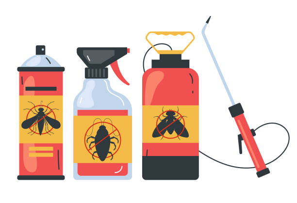 Best Wasp Removal Services  in Monona, IA