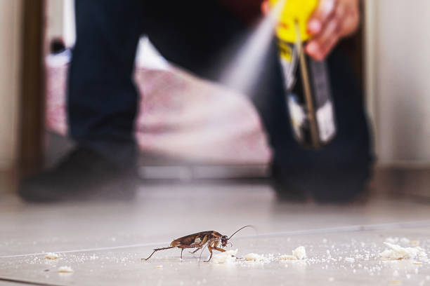 Best Mosquito Control Services  in Monona, IA