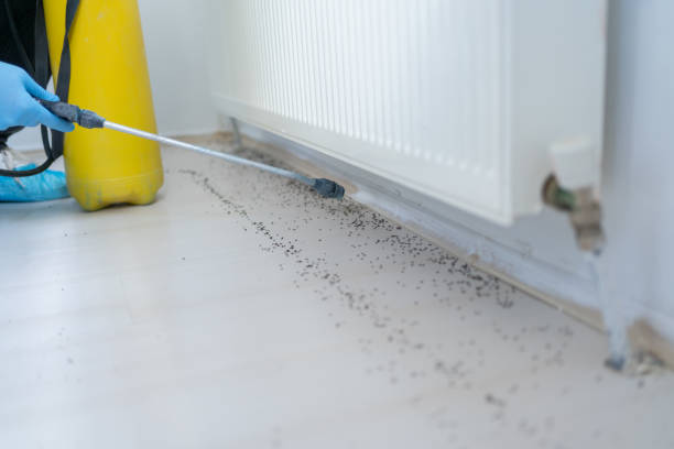 Best Mosquito Control Services  in Monona, IA