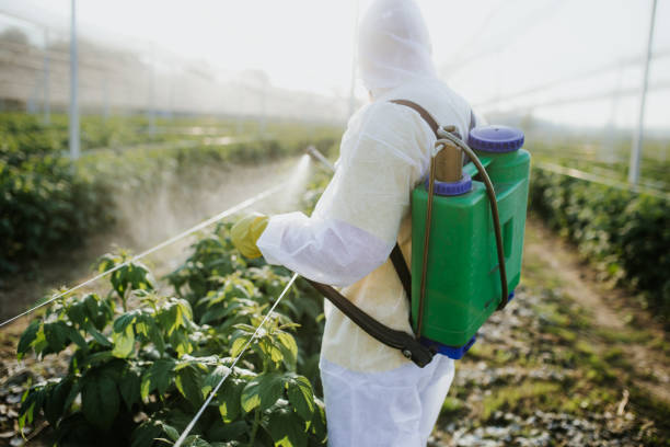 Best Affordable Exterminators  in Monona, IA